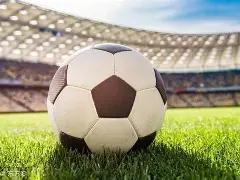 CSHKME,中证香港内,地股港元指,爱游戏平台,爱游戏官方网站,爱游戏登录入口,爱游戏app下载