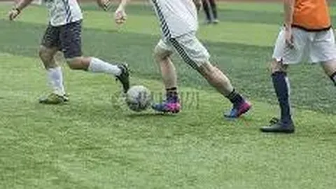 榴莲重金属含量检测报告，权威检测机构推荐