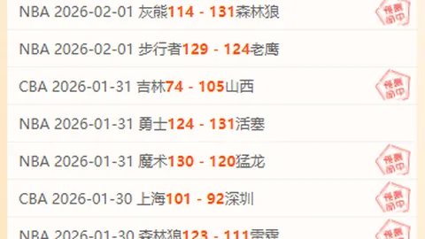 阿加西推崇的匹克球新宠：揭秘其独特魅力所在