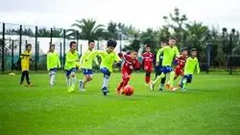 羅伊斯放棄隊長職位引離隊風波，德甲冠軍夢碎引發爭議